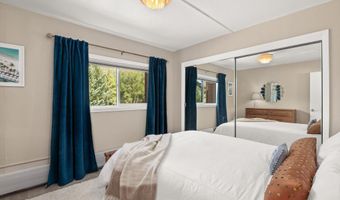 950 VINE St, Aspen, CO 81611