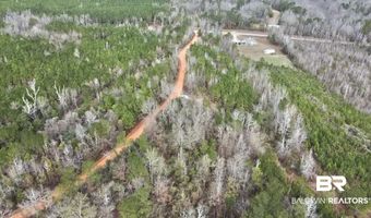 21000 Block Highway 21, Beatrice, AL 36425