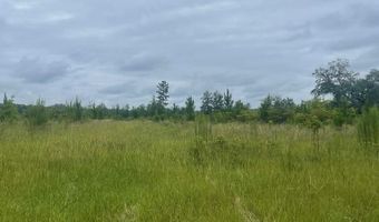 00 Belcher Ln, Bainbridge, GA 39817