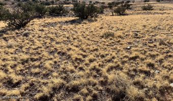 24 N8448, Concho, AZ 85924