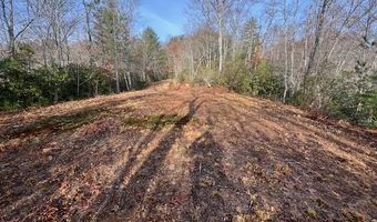 Tobacco Branch Road lot # 2, Almond, NC 28702