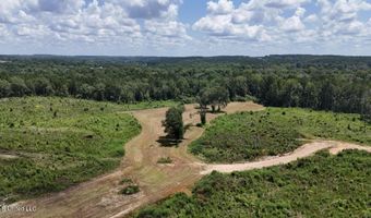 Ebenezer Church Road, Bassfield, MS 39421