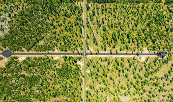 Block 1 Lot 4 NNA Wallace Lane, Blanchard, ID 83804