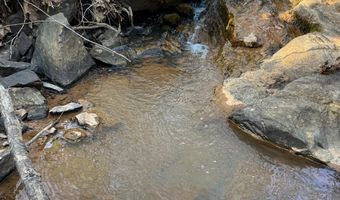 Old Courthouse Road, Appomattox, VA 24522