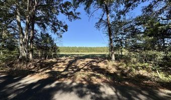 00001 Frank Hall Rd, Bolton, MS 39041