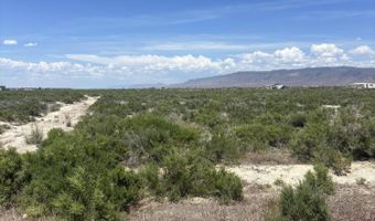 1565 William Harrison Ave, Battle Mountain, NV 89820