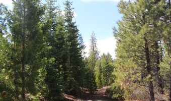 Tower Springs, Bly, OR 97622