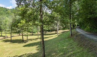 Chestnut Flats Road, Andrews, NC 28901