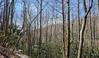 Warrior Way lot 16, Andrews, NC 28901