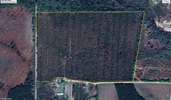 100 Doc Hunter Rd, Baxley, GA 31513