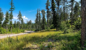 246 Trading Post Trl, Bigfork, MT 59911