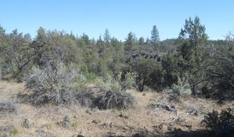 Ground Squirrel Drive, Bonanza, OR 97623