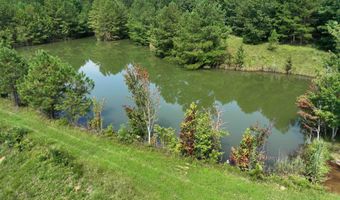 3941 SHOAL CREEK Rd, Ashville, AL 35953