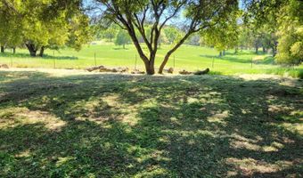 10093 Bailinquick Rd, Angels Camp, CA 95222
