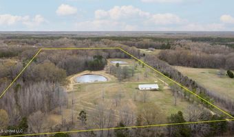 1144 Little Big Mound Rd, Bentonia, MS 39040