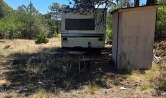 17775 County Road 51, Boncarbo, CO 81024