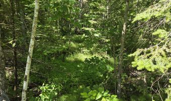 6780 Macey Ln, Alpena, MI 49707