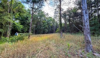 Old Moyers Road, Antlers, OK 74523