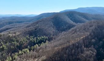 3530 Hamilton Ridge Rd, Alderson, WV 24910