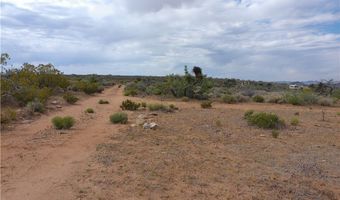 Lot 41 W 5th Street, Chloride, AZ 86431