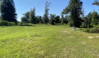 7960 NW County Road 274, Altha, FL 32421