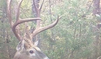 0000 Francis Rd, Francis, OK 74820