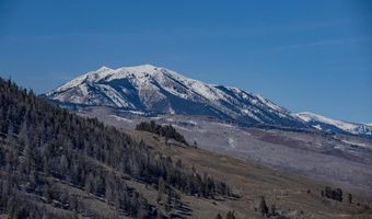 1220 Wilder Mountain Rd, Almont, CO 81210