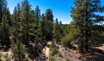 Turley Mill Lot 7, Arroyo Hondo, NM 87513