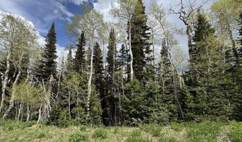 695 W Hunter Ridge Rd, Brian Head, UT 84719