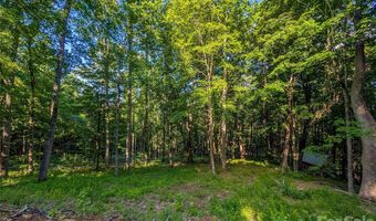 Amber Ranches 47, Bakersville, NC 28705