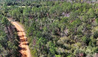 Grand Mesa Avenue, Alford, FL 32420