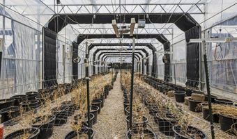 510 NM-116, Bosque, NM 87006