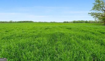 377 Acres Brent, Barnesville, GA 30204