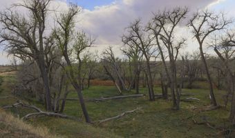 38250 COUNTY RD 170, Agate, CO 80101