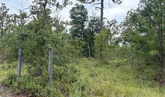 4539 NW Miller/White LN Rd, Altha, FL 32421