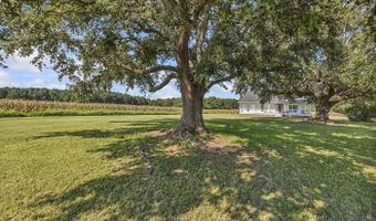 3568 Alcolu St, Alcolu, SC 29001