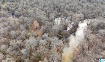 BRUSH CREEK DRIVE lot 0, Akron, AL 35441