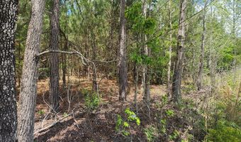 1 Lost Horn Rd, Branchville, SC 29432