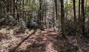 18 6 Acres Cave Branch Rd, Allardt, TN 38504