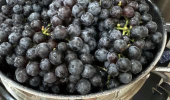 918 ROAD 4990, Bloomfield, NM 87413