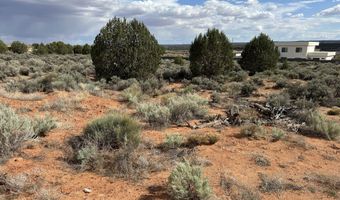 1152 E RED SAGE Dr, Apple Valley, UT 84737