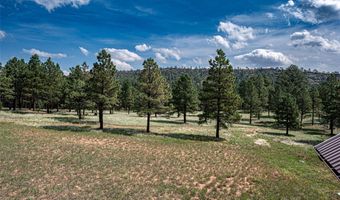 115 Blue Deer Ranch Road B-109, Buena Vista, NM 87712