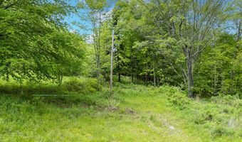 1361 Weaver Hollow Rd, Andes, NY 13731