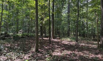 WEAVER ROAD, Amissville, VA 20106