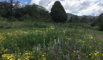 Tract 13 Luis O Torres Rd, Arroyo Seco, NM 87514