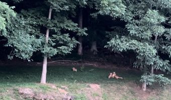 375 Middle Creek Rd, Afton, TN 37616