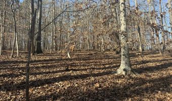 0 Rambler Ln, Blacksburg, SC 29702