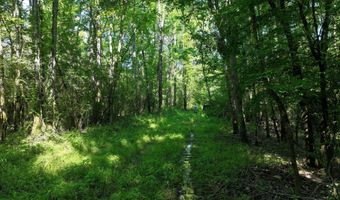 Us-51, Bogue Chitto, MS 39629