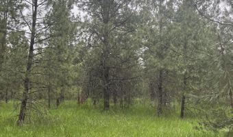 NNA N Sheep Springs Rd, Athol, ID 83801