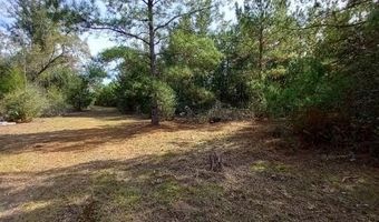 Tommy Tucker Road lot 3, Altha, FL 32421